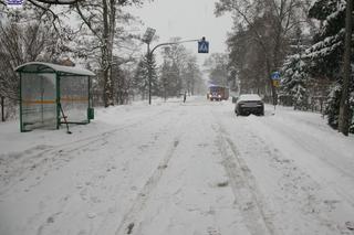Koszmar w Żabiej Woli! 14-letnią Agatkę potrącił dostawczak. Chwilę po tym przejechał po niej ford 
