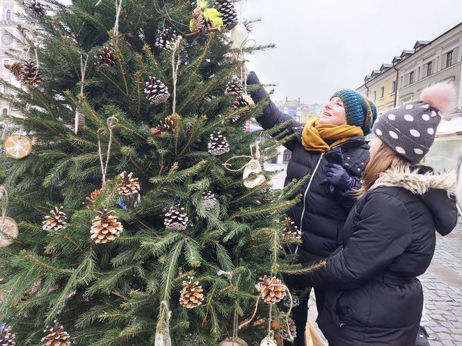  Zamojskie przedszkola i szkoły dekorowały choinki