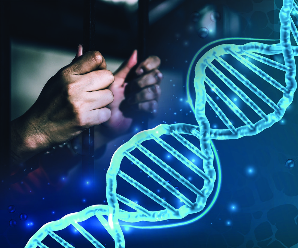 Przełom w Radomiu! Rozbój sprzed lat rozwiązany dzięki DNA. Sprawca za kratami