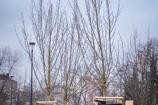 Skwer Markowska na Pradze-Północ