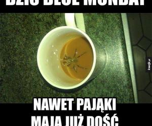 Najlepsze memy o Blue Monday