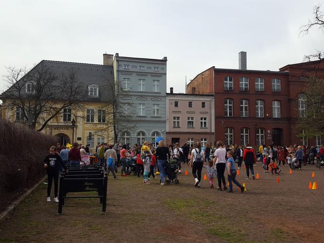 Zające chodzące i z czekolady w centrum Leszna