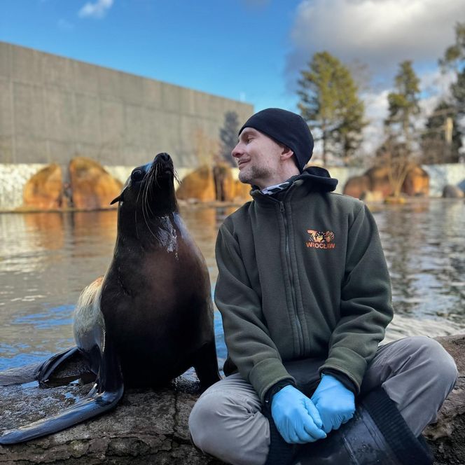 To on ratuje pingwiny przylądkowe. Paweł Borecki z ZOO Wrocław w Afryce