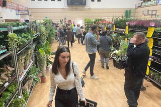 Wrześniowy Festiwal Roślin w Nowym Sączu