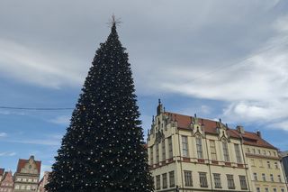 Co jest nie tak z nową choinką we Wrocławiu? Brakuje gałązek, czubek jest niedopracowany
