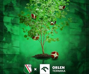 Z każdej celnej trójki koszykarskiej Legii wyrośnie drzewo. Startuje akcja Trójki dla Natury