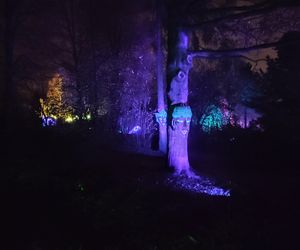 Park iluminacji w Lublinie