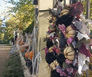 Willa na Jaśkowej Dolinie w Gdańsku znów straszy! Tegoroczny motyw Halloween budzi niepokój