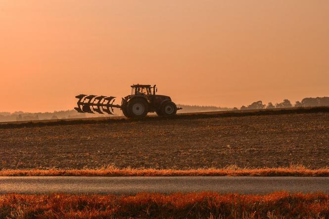Lubelskie - ruszył Powszechny Spis Rolny 2020