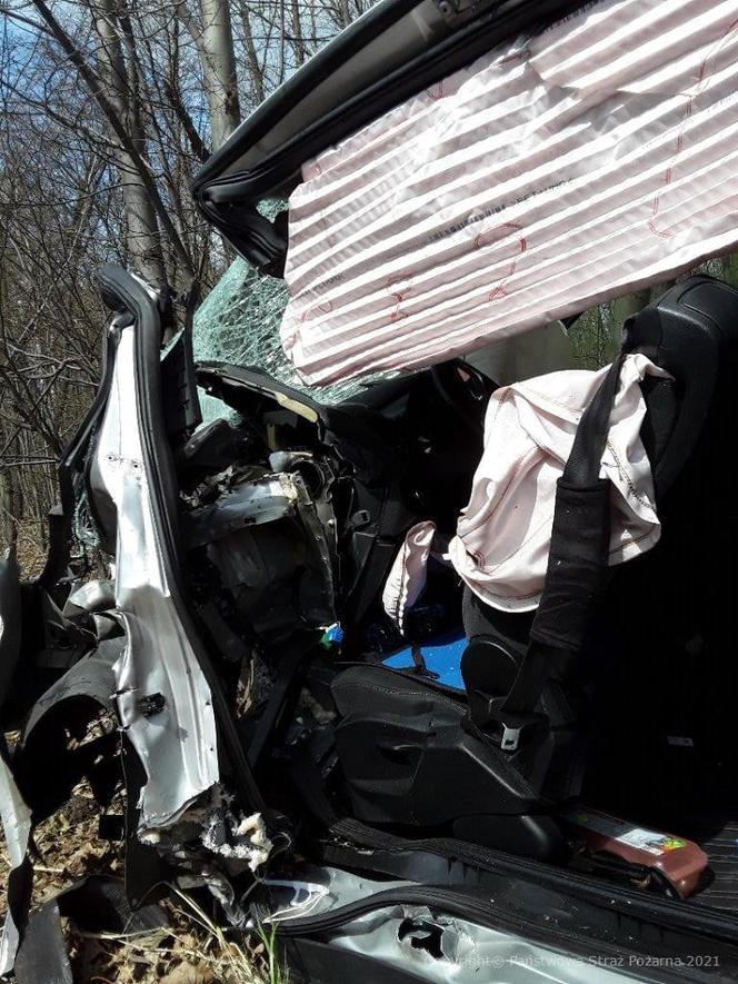 Śmiertelny wypadek w Łodzi. Samochód uderzył w drzewo na ul. Sianokosy
