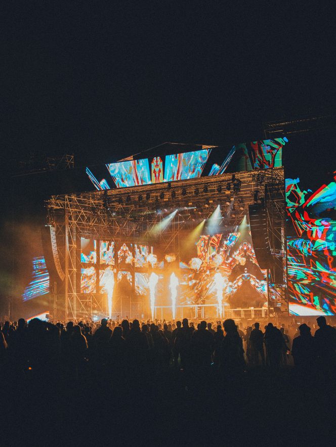 Fajer Festiwal 2025 w TAURON Parku Śląskim. Pierwszy dzień przyciągnął tłumy