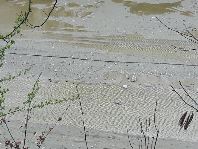 4 Nad tunelem dworca Łódź Fabryczna zbiera się woda