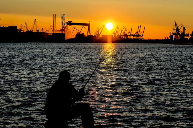 Kapitanat Portu Gdynia