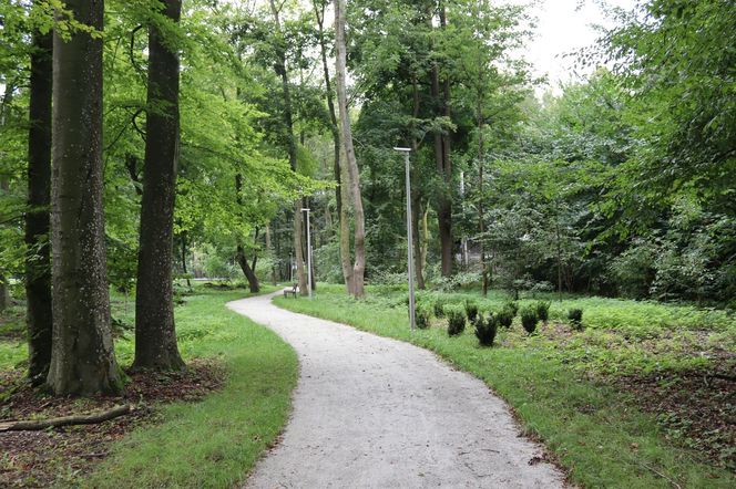Zabytkowy park pod Lubawą zmienił się nie do poznania. Teraz wygląda jak z bajki