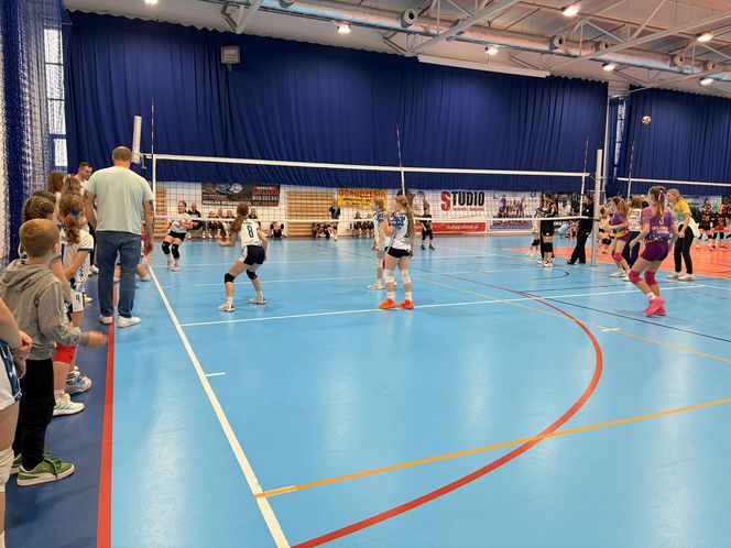 Siatkarski turniej z okazji Święta Niepodległości w Grudziądzu