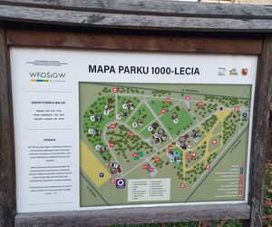 ​Statek dla dzieci w Parku Tysiąclecia w Lesznie odzyska dawny blask. Wymienią stare elementy placu zabaw, dołożą nowe