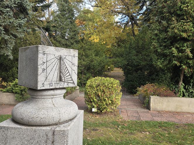 Jesień w Ogrodzie Botanicznym UKW. To ostatnia szansa na spacer wśród złotych liści!