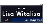 Lisa Witalisa