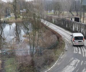 Ucieczka pantery śnieżnej z zoo w Chorzowie. Zdjęcia z akcji poszukiwawczej