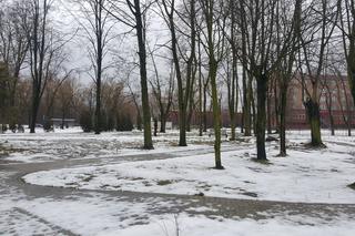 Drzewa dla sosnowieckiego hospicjum