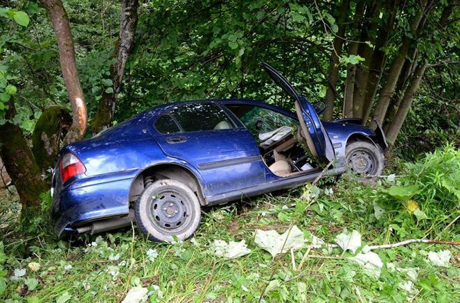 PIjany, wiózł 100-kilogramowe ciele w aucie, wpadł do rowu