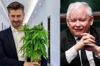 Posłowie zalegalizują marihuanę? DZIWNE zachowanie Kaczyńskiego. Zobacz co powiedział prezes PiS. Felieton Adama Federa [WIDEO]