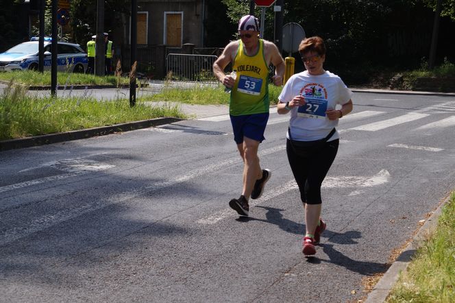 Seniorzy w Bydgoszczy pokazali moc! Blisko setka na starcie pierwszego Biegu Seniora