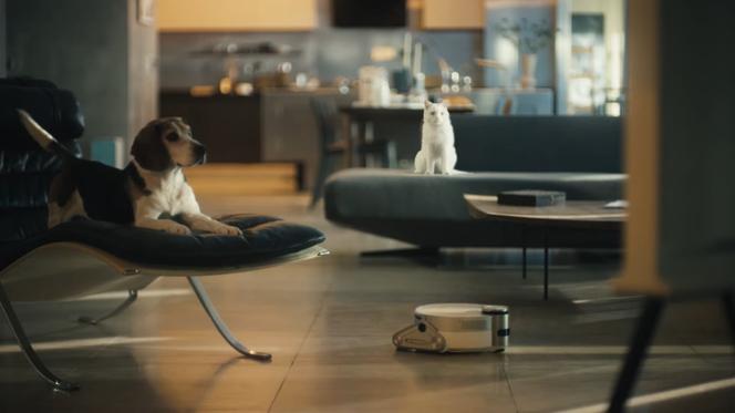 Robot sprzątający Jet Bot AI+ Samsung