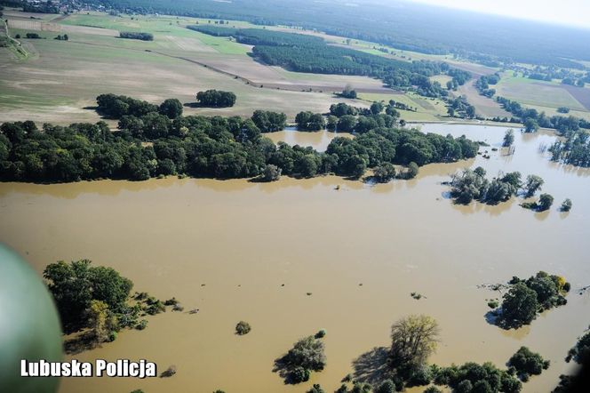 Fala powodziowa na Odrze dotarła do województwa lubuskiego. Działania służb