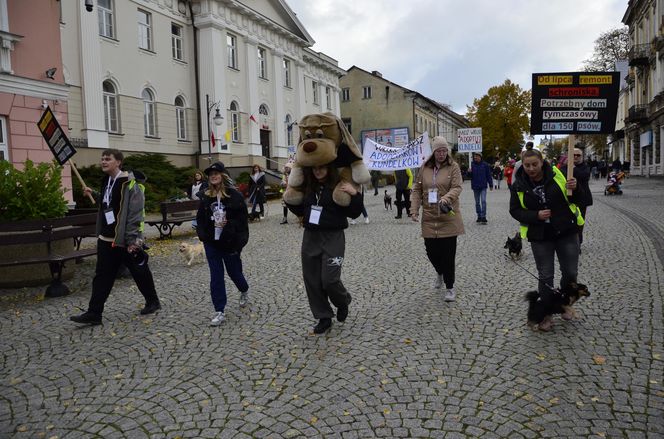 Wielki marsz adopciaków w Radomiu