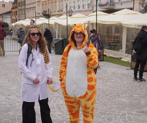 Rzeszowskie Juwenalia rozpoczęte. Barwny korowód przeszedł przez miasto 