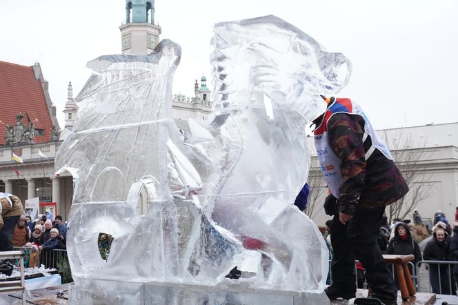 Poznań Ice Festival 2024 