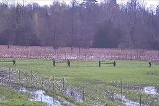 Szturm na granicę. Ponad 220 nielegalnych migrantów próbowało dostać się do Polski