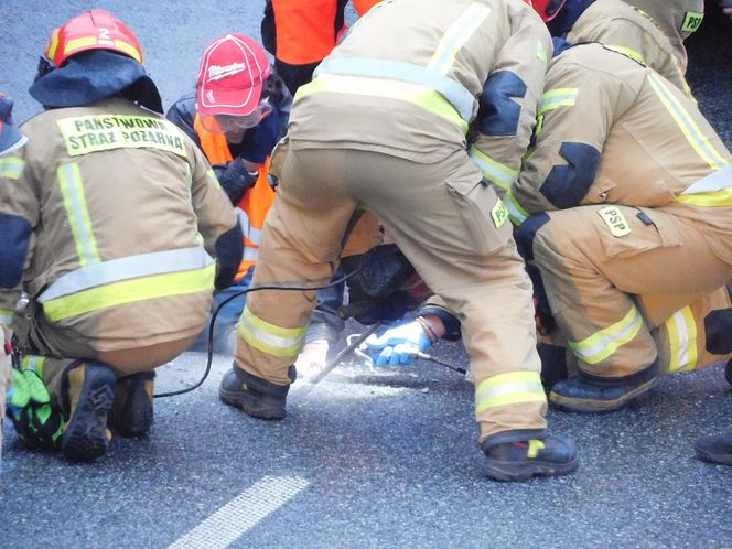 Ostatnie Pokolenie przykleiło się do jezdni na S8. Strażacy musieli skuć asfalt