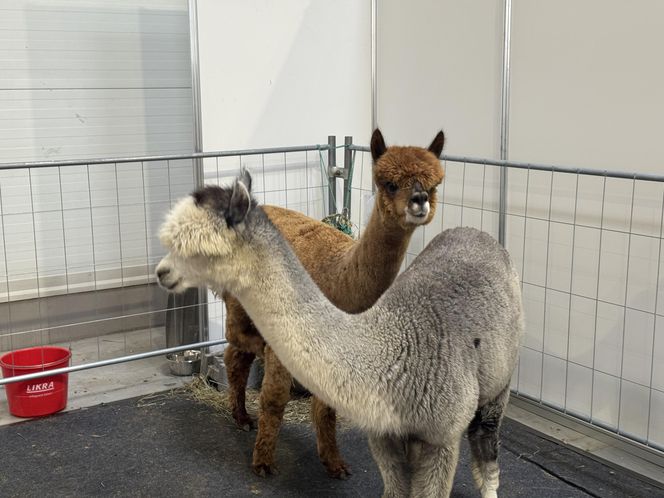 ZooPark w Lublinie. Dzień drugi