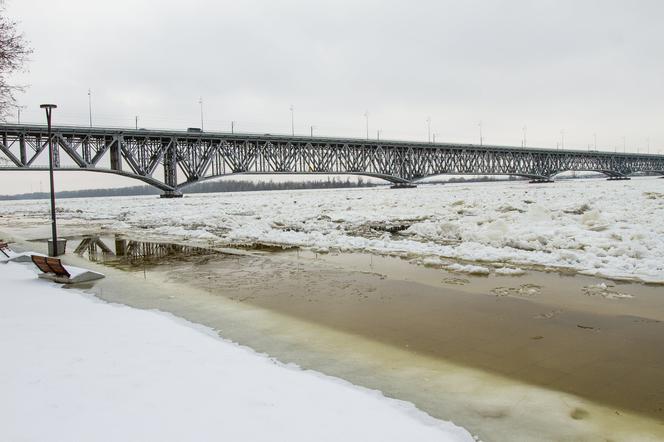 Płock. Alarm przeciwpowodziowy na Wiśle. "Żonę i syna wywoziłem łódką" [ZDJĘCIA]