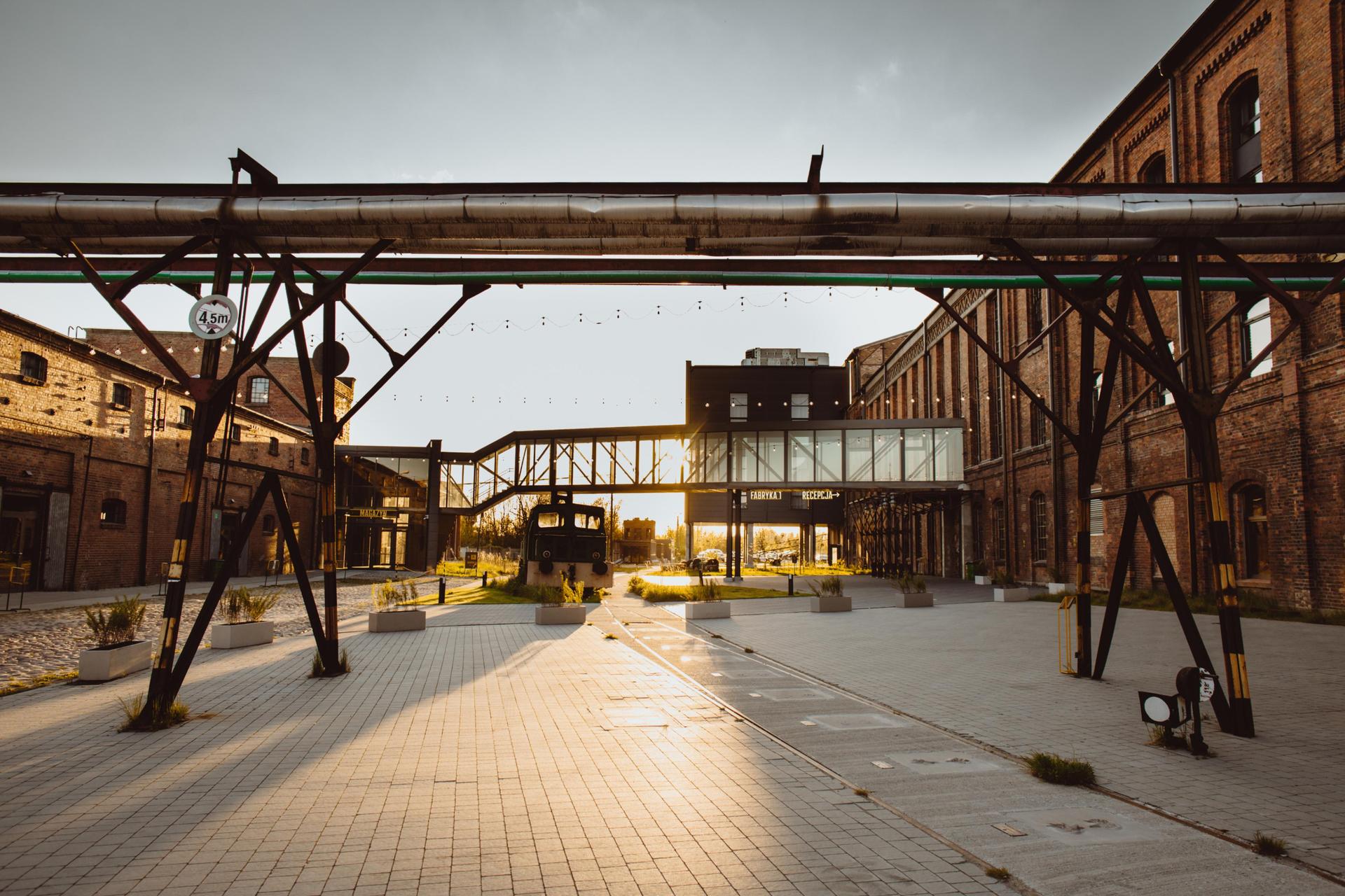 Zabytki ocalone przez Grupę Arche