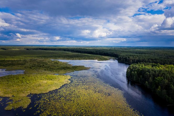 9. Lasy Janowskie – serce Lubelszczyzny