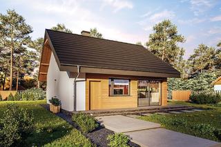 C333v1 Miarodajny - wersja 1 - wizualizacje, plany, rysunki