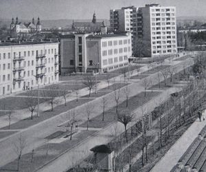 Widok na stadion oraz Aleję Legionów
