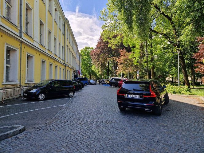 Wojewódzkie Obchody Dnia Strażaka w Lesznie. Uroczystość, atrakcje i utrudnienia w ruchu