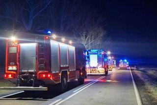 Śmiertelny wypadek pod Skwierzyną! BMW rozpadło się na części po zderzeniu z sarną [ZDJĘCIA]
