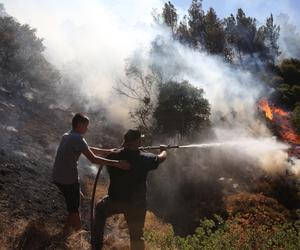 Pożary w Grecji. ITAKA ewakuowała turystów z Polski