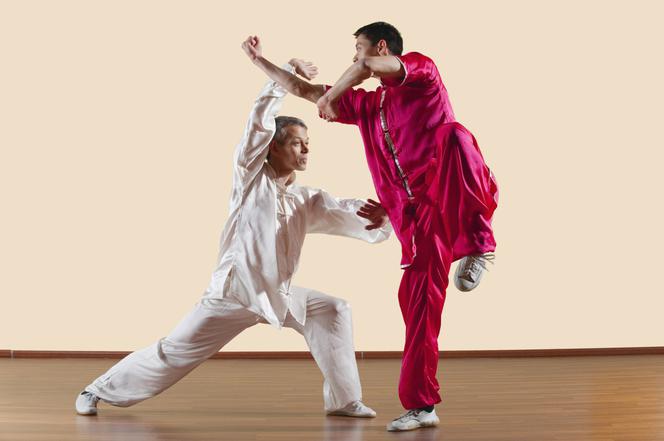 Kung fu – historia, zasady i style walki. Kung fu a karate