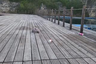 To jeszcze Zakrzówek, czy już śmietnisko? 