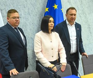 Dorota Brejza przed komisją śledczą