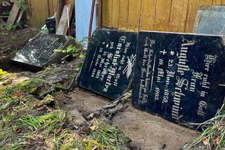 Zabytkowe płyty nagrobne w ogródku działkowym. Szczecińscy policjanci w akcji