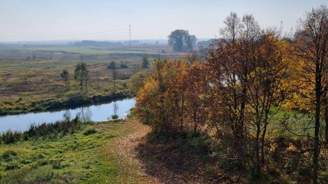 To najstarszy zabytek w woj. podlaskim. Istnieje prawie tak długo, jak Polska! [ZDJĘCIA]