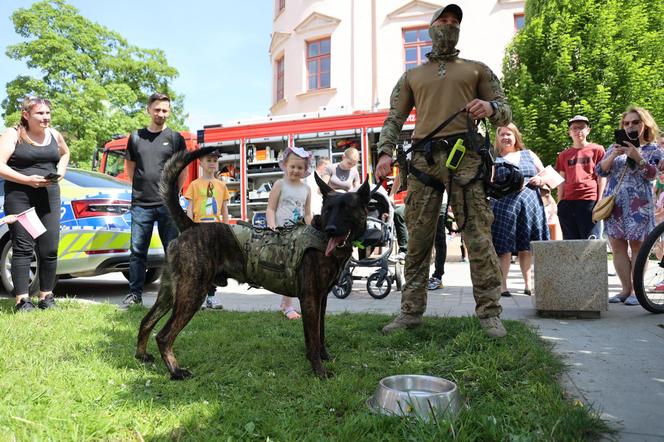 Piknik patriotyczny i koncert „Polskie Tańce Narodowe i Regionalne” na pl. Litewskim w Lublinie