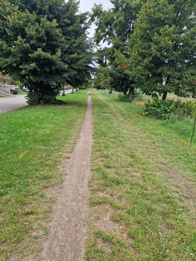 ​Na nowej ścieżce rowerowej w Lesznie już kładą asfalt [ZDJĘCIA]